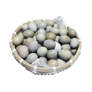 宠物芦丁鸡受精蛋可孵化德系纯配种蛋纯白瓦灰黑白礼服卵网红小鸡