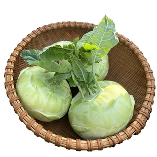 云南无筋苤蓝新鲜大头菜疙瘩芥蓝农家自种优质鲜蔬菜产地现摘现发