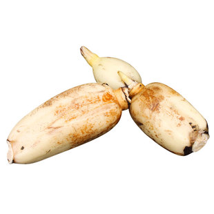 湖北洪湖小粉藕莲藕小藕3斤小节藕小藕莲藕火锅藕卤藕煲汤炒菜藕