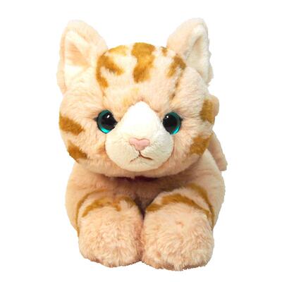 sunlemon黄色条纹美短猫咪