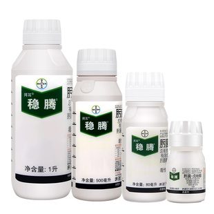 拜耳稳腾肟菌酯戊唑醇玉米小麦水稻稻瘟病白粉病大斑病农药杀菌剂