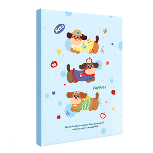 A4产检收纳册2026新款孕检报告单收集册女孩孕妇初期医院资料检查单收纳袋活页记录档案册孕早期必备用品马宝