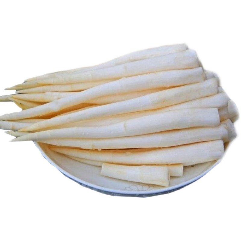 云南特产建水草芽新鲜蔬菜象牙菜