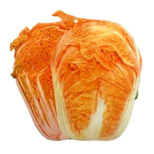 火凤凰白菜种子特嫩好吃白菜 生熟食即可 大白菜种子蔬菜种籽包邮