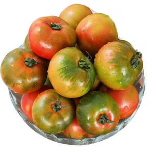 四川攀枝花露天草莓番茄农家羊粪肥种植生熟口感型西红柿新鲜柿子