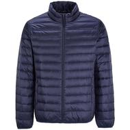 雪中飞轻薄羽绒服男士休闲立领