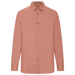 【绵羊毛】劲霸男装男士衬衣春秋商务休闲正装职场长袖衬衫上衣男