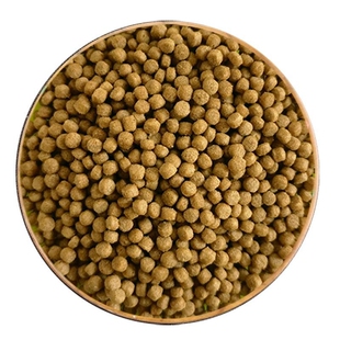 乌龟粮黄金巴西龟草龟饲料通用龟粮花龟观赏龟饲料黄耳火焰龟食物