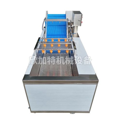 厂家直销全不锈钢蔬菜清洗机 气泡清洗机 净菜加工果蔬臭氧洗菜机