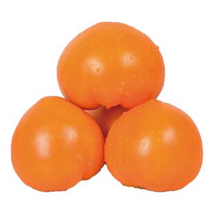 内蒙古五原新鲜黄柿子沙瓤自然熟现摘黄色西红柿水果番茄蔬菜生吃