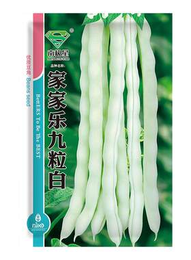 摘不败白不老九粒白芸豆种子苗秧四季豆豆角种籽架豆蔬菜豆角秧苗