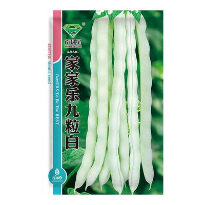 摘不败白不老九粒白芸豆种子苗秧四季豆豆角种籽架豆蔬菜孑豆角苗