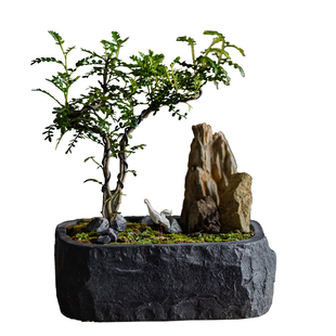 花盆复古长方形中式禅意花园装饰摆件仿石头花盆中古风文竹花盆