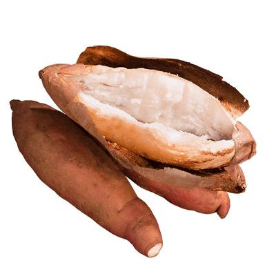 喜来农场哈密冰糖薯山东新鲜现挖