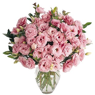 进口洋桔梗种子 室内花园阳台盆栽易种花卉种子 秋季春季播种花籽