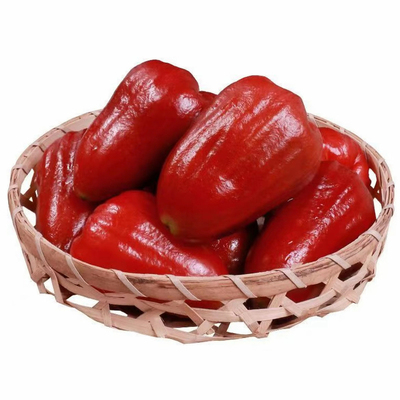 精品海南三亚黑金刚莲雾孕妇水果