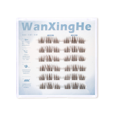 万星河6排无梗免胶小苍兰假睫毛