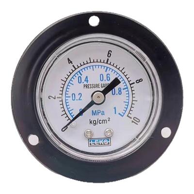 Y40ZT轴向带边气压表10KG负压表