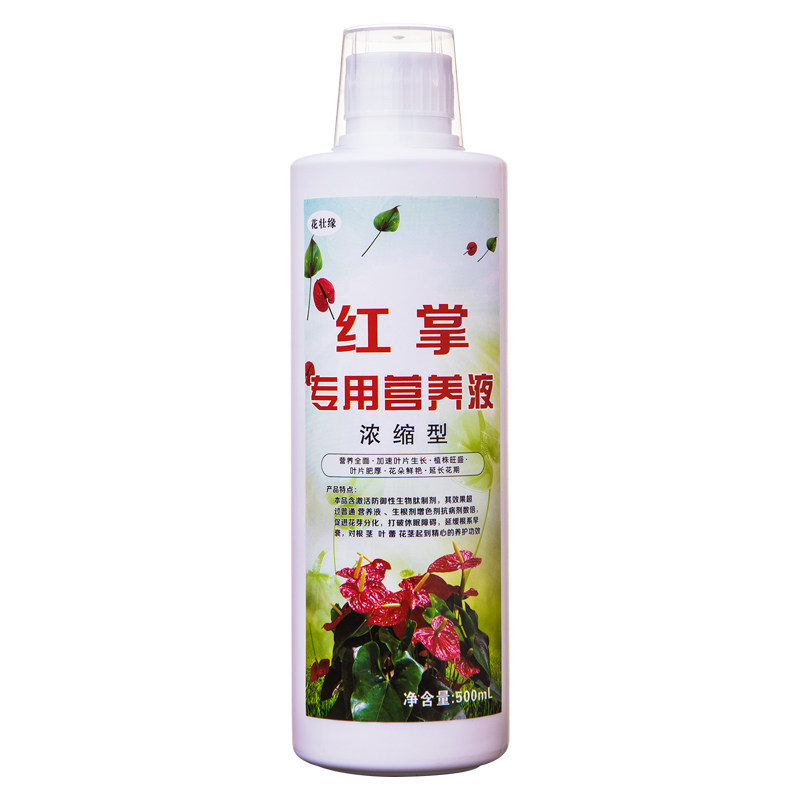 红掌营养液促开花四季通用