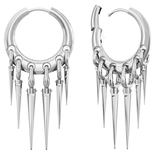 punkyouth简奢流苏高级质感耳环女长款耳饰925银防过敏轻奢气质