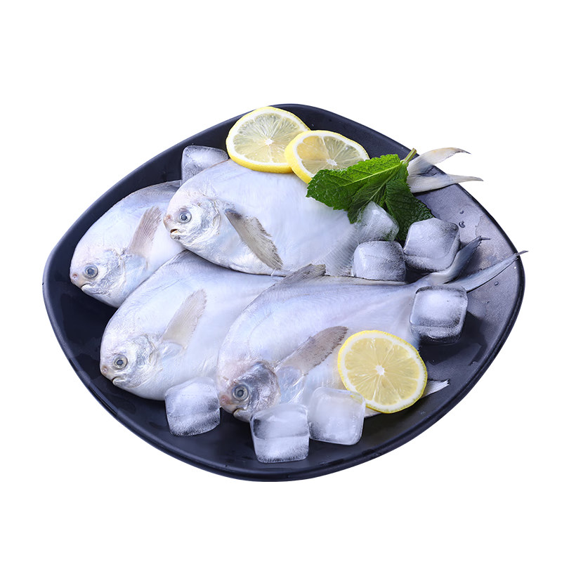 银鲳鱼深海冷冻白鲳鱼