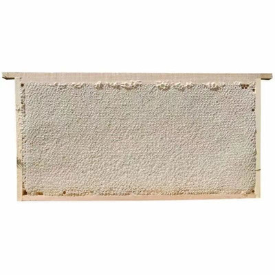 整张蜂巢蜜荆条蜜酒店餐厅专用