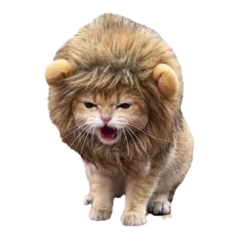 猫咪狮子头饰宠物小狗狗搞怪头套可爱小熊变装帽子小型犬配饰装饰