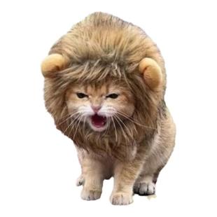 猫咪狮子头饰宠物小狗狗搞怪头套可爱小熊变装帽子小型犬配饰装饰