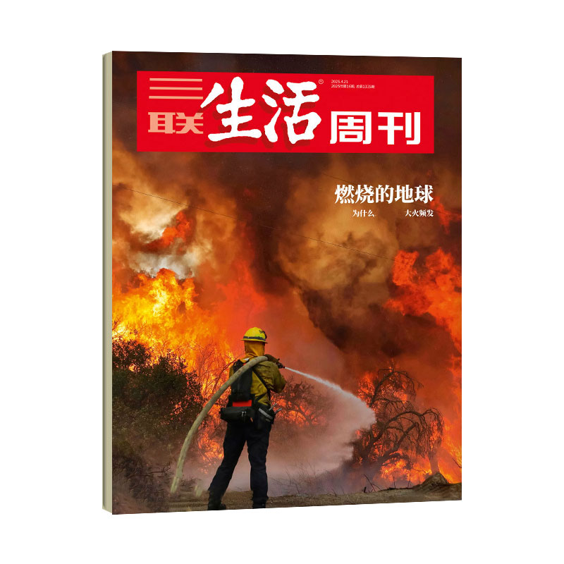 【怎么睡个好觉】三联生活周刊杂志2026年1-9月1-36/37/38期（全年/半年订阅）NPD大流行芯片脱轨之后看天下