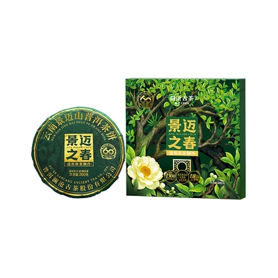 【限时秒】澜沧古茶26年景迈之春明前春茶云南晒青普洱茶200g饼