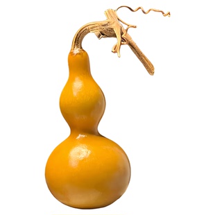 特小文玩观赏葫芦种子亚腰大酒葫芦籽种春夏季阳台盆栽手捻葫芦