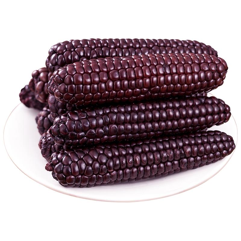【稀有老品种】版纳黑糯小玉米