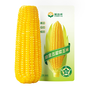 新鲜黄糯玉米低脂糖加热即食减专用开袋肥速食早餐代餐饱腹棒子