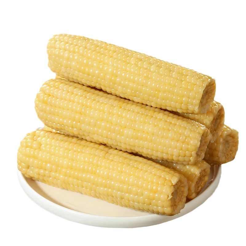 【东北白糯玉米】营养美味|0添加