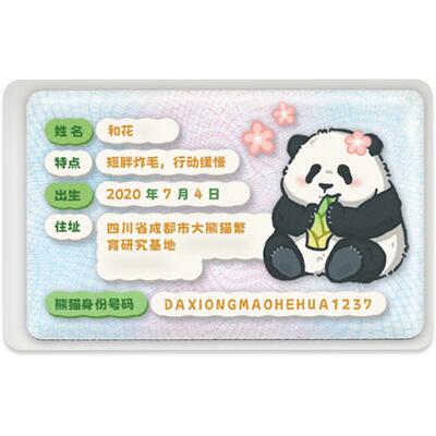 可爱熊猫身份证件保护套 挡脸保护隐私 升级加厚PVC卡套