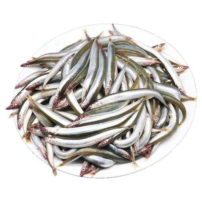 新鲜面条鱼鲜活冷冻海鱼