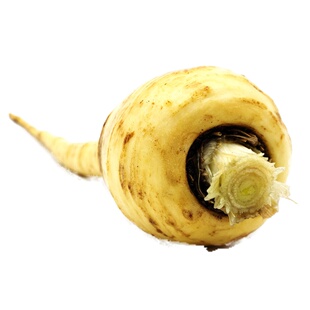 【蓝牌】新鲜防风根 欧洲萝卜品种Fresh parsnip  500g