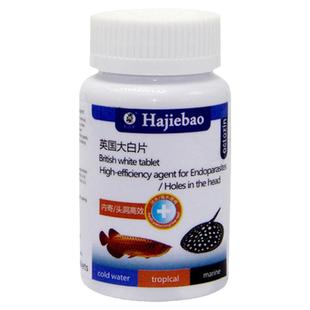 英国大白片鱼药内寄龙鱼罗汉鹦鹉七彩凸眼头洞肠炎正品鱼用非鱼药