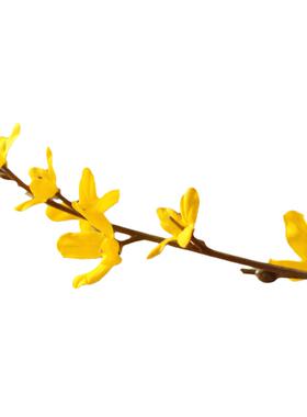 客厅迎春花LXHouse迎春花仿真花