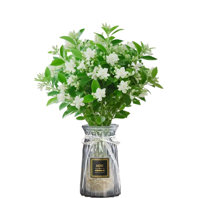 【全网热销10W+】茉莉花水培植物