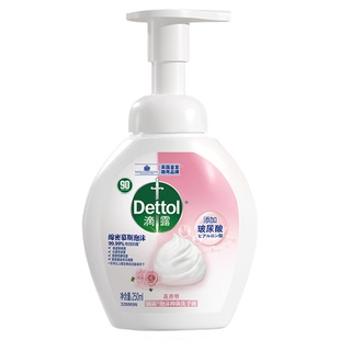 Dettol/滴露慕斯泡沫抑菌洗手液花香香型250ml/瓶保湿多洗手不干