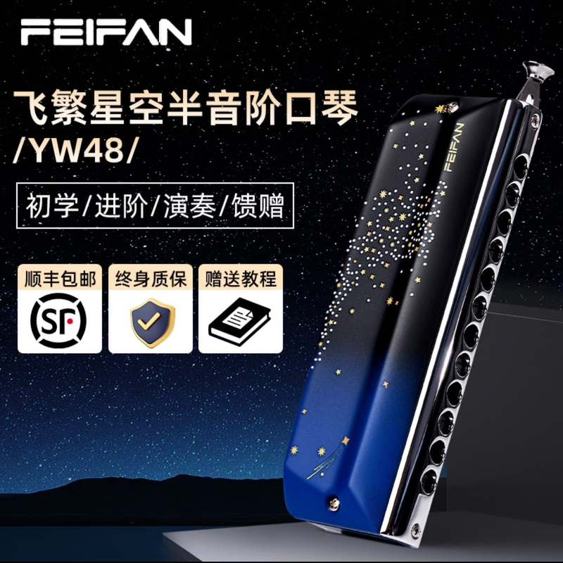 FEIFAN飞繁仰望星空12YW48演奏专业色初学者孔口琴星空成人半音阶