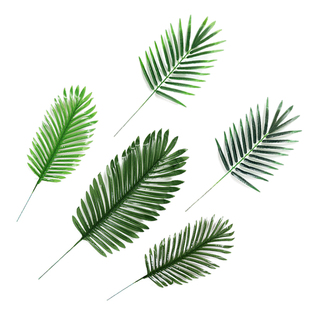 ins风北欧仿真春羽叶客厅婚庆 饰品假叶子塑料葵叶散尾叶铁树叶片