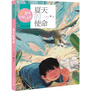 夏天的使命 王天宁著 正版fb天宁哥哥成长小宇宙 少年儿童课外阅读图书籍 山东大学出版社