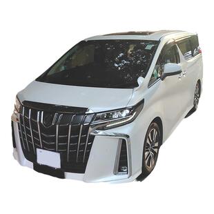 中港两地商务车深圳到香港机场接送机假期迪士尼粤港跨境阿尔法车