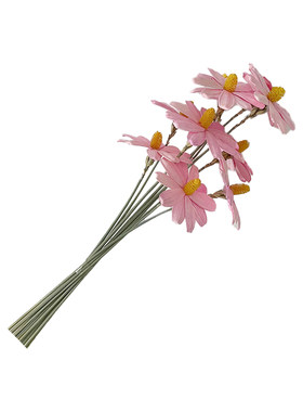 芯苼彩色干花瓜子花