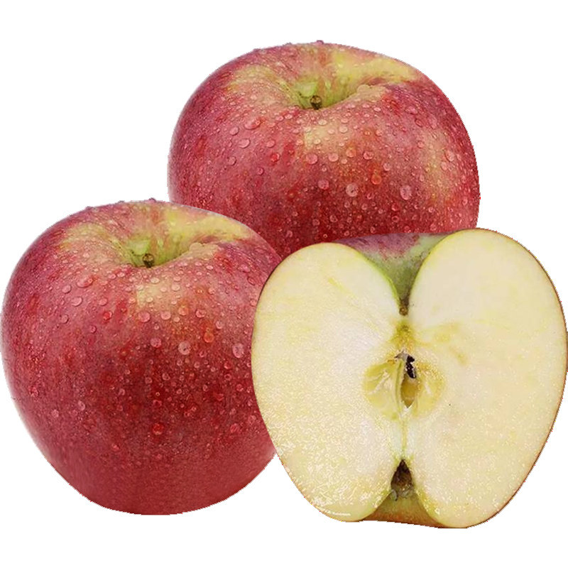 25年现摘陕西粉面沙甜秦冠苹果老人小孩刮泥吃的新鲜宝宝辅食水果