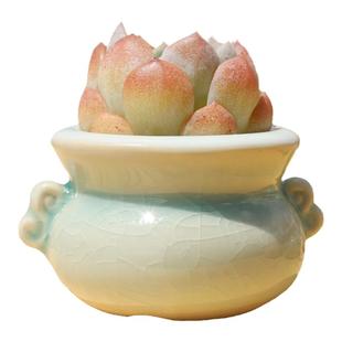 双耳多肉花盆迷你简约创意个性流釉冰裂控型拇指小盆肉锥桌面特价