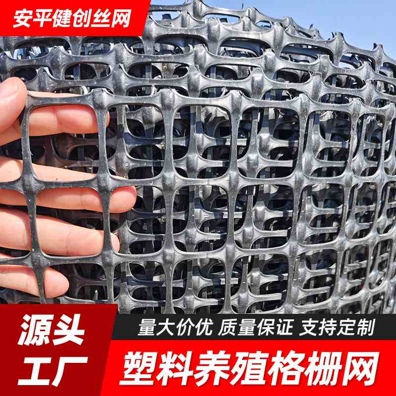塑料网养殖网 塑料格栅 鸡网 小孔养鸡网 围栏网 防护栏土工格栅