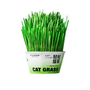 俘获F2懒人猫草轻松猫草杯猫草盆栽子毛猫咪助水化培盒球